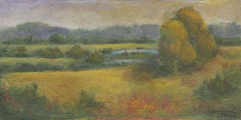 El Dorado Lake II Black Ornate Wood Framed Art Print with Double Matting by Combs, Joyce