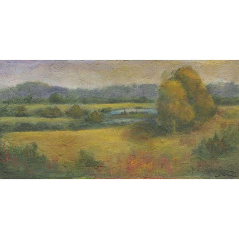 El Dorado Lake II Gold Ornate Wood Framed Art Print with Double Matting by Combs, Joyce