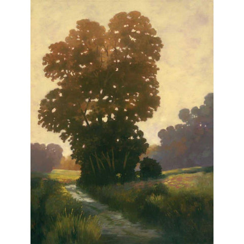 Summertime II Black Modern Wood Framed Art Print by Reynolds, Graham