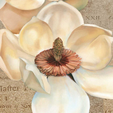 Magnolia Masterpiece I Gold Ornate Wood Framed Art Print with Double Matting by Montillio, Louise