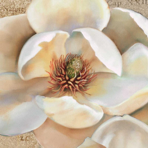 Magnolia Masterpiece II White Modern Wood Framed Art Print with Double Matting by Montillio, Louise