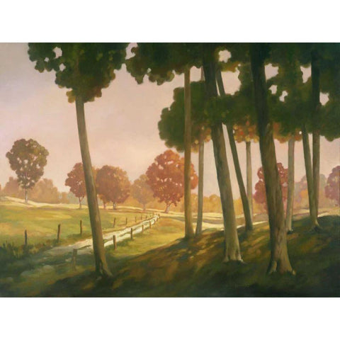 Morning Light II White Modern Wood Framed Art Print by Reynolds, Graham
