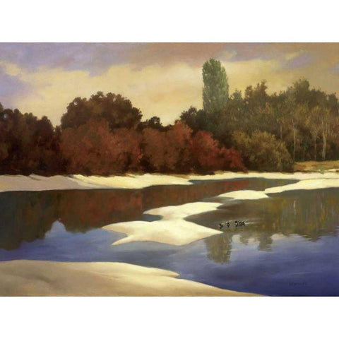 Sandbanks I Black Modern Wood Framed Art Print with Double Matting by Reynolds, Graham