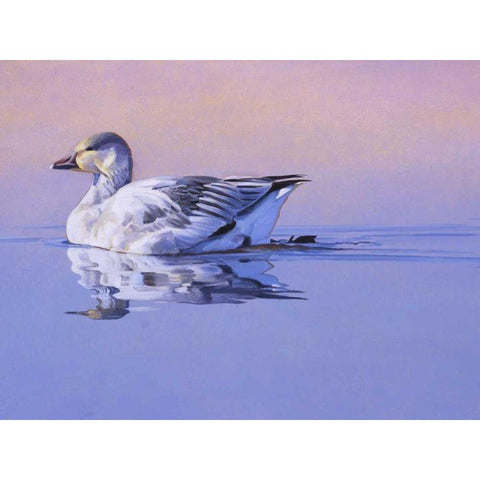 Morning Glory Gold Ornate Wood Framed Art Print with Double Matting by Chapman, Julie T.