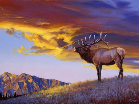 Reveille White Modern Wood Framed Art Print with Double Matting by Chapman, Julie T.