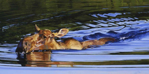 Bathing Beauty White Modern Wood Framed Art Print with Double Matting by Chapman, Julie T.