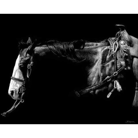 Baldfaced Bulldogger White Modern Wood Framed Art Print by Chapman, Julie T.