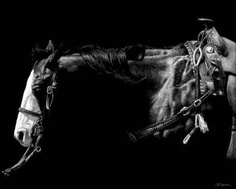 Baldfaced Bulldogger White Modern Wood Framed Art Print with Double Matting by Chapman, Julie T.