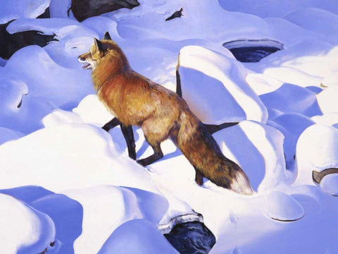 Fire and Ice White Modern Wood Framed Art Print with Double Matting by Chapman, Julie T.