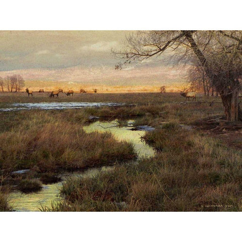 Elk and Creek Black Modern Wood Framed Art Print with Double Matting by Vest, Chris