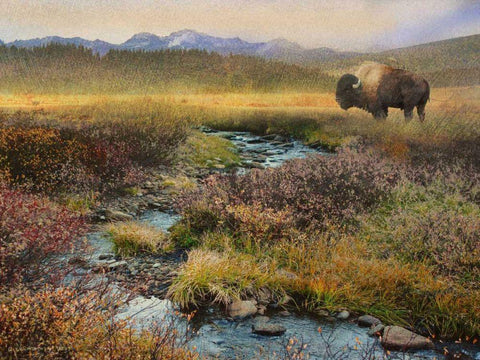 Bison and Creek White Modern Wood Framed Art Print with Double Matting by Vest, Chris