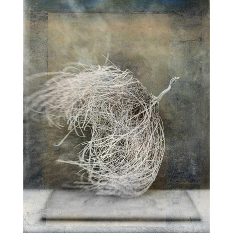 Desert Form I Black Modern Wood Framed Art Print by Ray, Elena