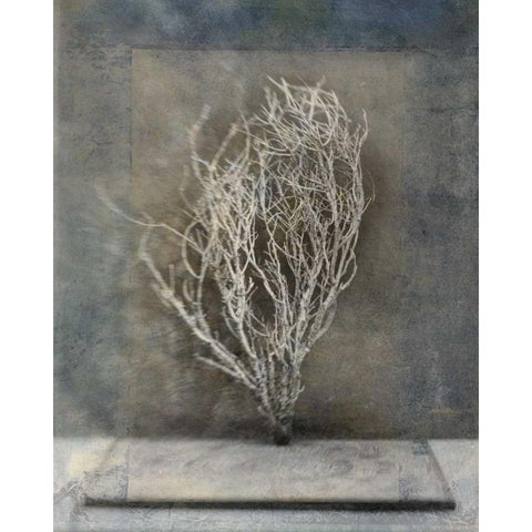 Desert Form III Black Modern Wood Framed Art Print with Double Matting by Ray, Elena
