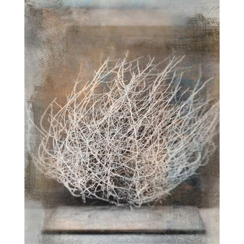 Desert Form V Black Modern Wood Framed Art Print by Ray, Elena