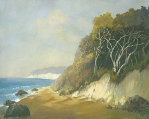 Northern Shore I Black Ornate Wood Framed Art Print with Double Matting by Reynolds, Graham