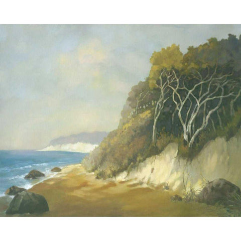 Northern Shore I Black Modern Wood Framed Art Print with Double Matting by Reynolds, Graham
