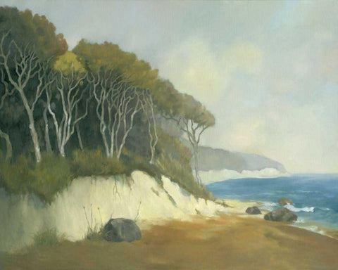 Northern Shore II White Modern Wood Framed Art Print with Double Matting by Reynolds, Graham