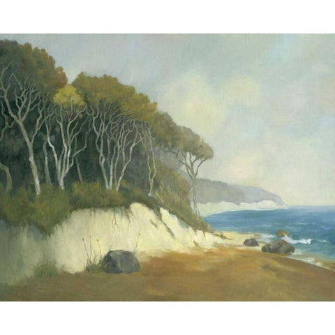 Northern Shore II White Modern Wood Framed Art Print by Reynolds, Graham