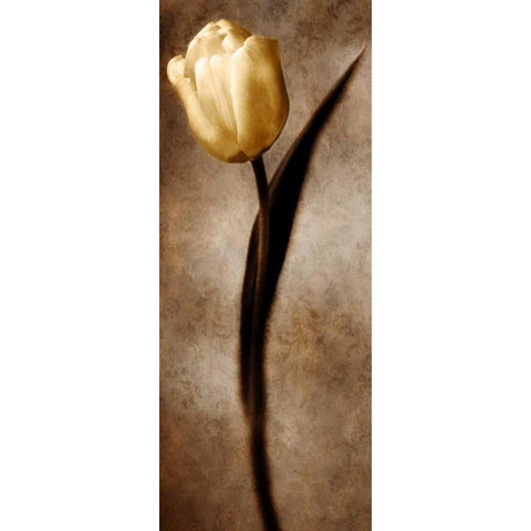 Damask Tulip II Gold Ornate Wood Framed Art Print with Double Matting by Zalewski, Christine