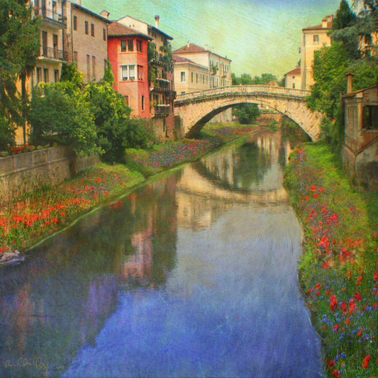 Image Only