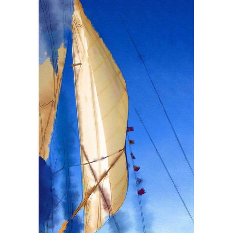 Sailing I White Modern Wood Framed Art Print by Head, Danny