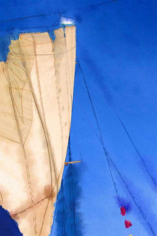 Sailing IV Black Ornate Wood Framed Art Print with Double Matting by Head, Danny