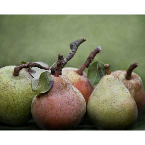 Comice Pears I Black Modern Wood Framed Art Print by Perry, Rachel