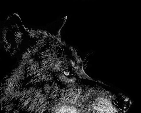 Black Wolf Black Ornate Wood Framed Art Print with Double Matting by Chapman, Julie T.