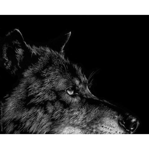 Black Wolf Black Modern Wood Framed Art Print by Chapman, Julie T.
