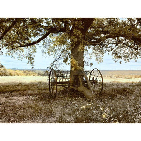 Aux Arbeils Oak Gold Ornate Wood Framed Art Print with Double Matting by Chester, Colby