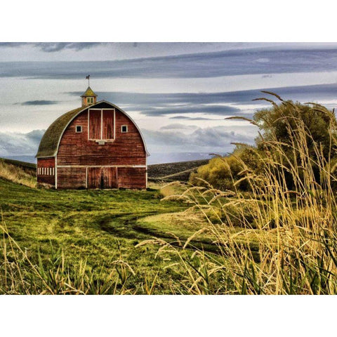 Palouse Barn Gold Ornate Wood Framed Art Print with Double Matting by Chester, Colby