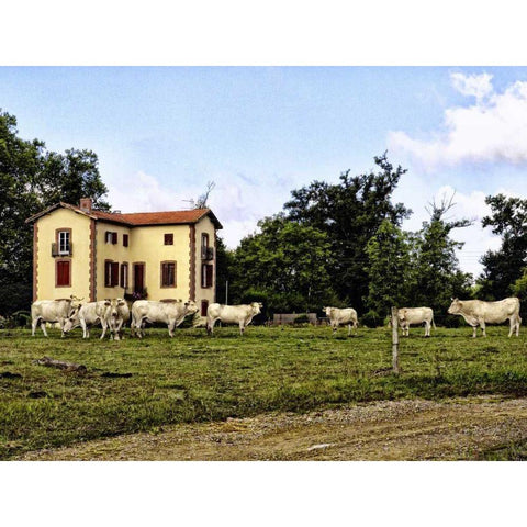 Cow Palace White Modern Wood Framed Art Print by Chester, Colby