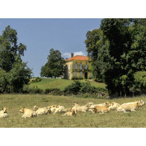 Happy Antiquanes White Modern Wood Framed Art Print by Chester, Colby