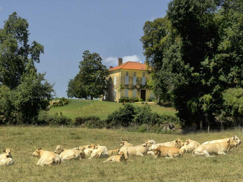 Happy Antiquanes Black Ornate Wood Framed Art Print with Double Matting by Chester, Colby