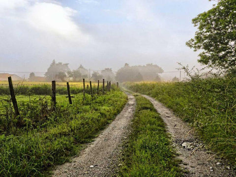 Le Dognons Black Ornate Wood Framed Art Print with Double Matting by Chester, Colby