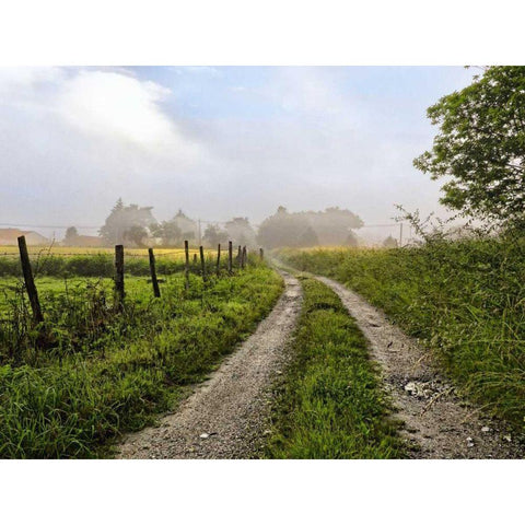 Le Dognons Black Modern Wood Framed Art Print by Chester, Colby