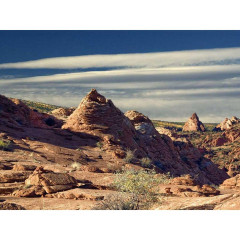 Coyote Buttes Gold Ornate Wood Framed Art Print with Double Matting by Chester, Colby