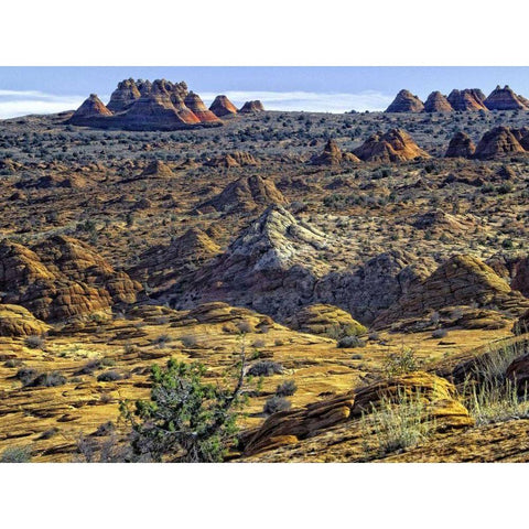 View from Coyote Buttes Black Modern Wood Framed Art Print with Double Matting by Chester, Colby