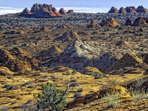 View from Coyote Buttes Black Ornate Wood Framed Art Print with Double Matting by Chester, Colby