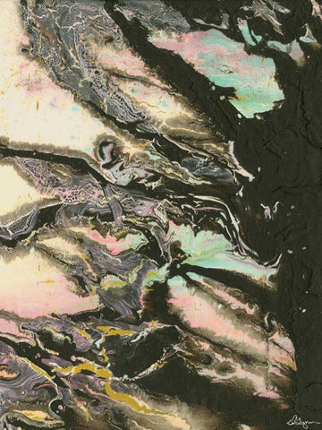 The Senator III Black Ornate Wood Framed Art Print with Double Matting by Roll, Dlynn