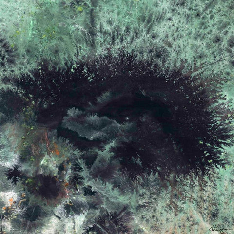 Coral and Jelly Fish I Black Modern Wood Framed Art Print by Roll, Dlynn