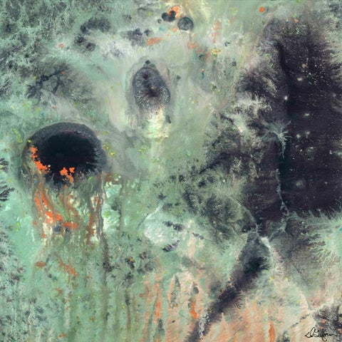 Coral and Jelly Fish II Black Modern Wood Framed Art Print by Roll, Dlynn