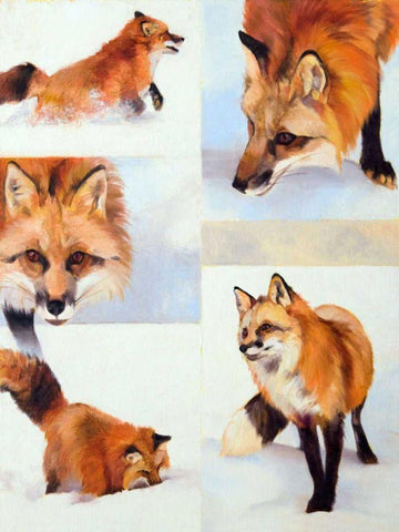 Vulpes V White Modern Wood Framed Art Print with Double Matting by Chapman, Julie T.