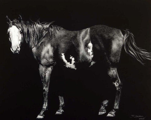 Bald-Faced Broodmare White Modern Wood Framed Art Print with Double Matting by Chapman, Julie T.