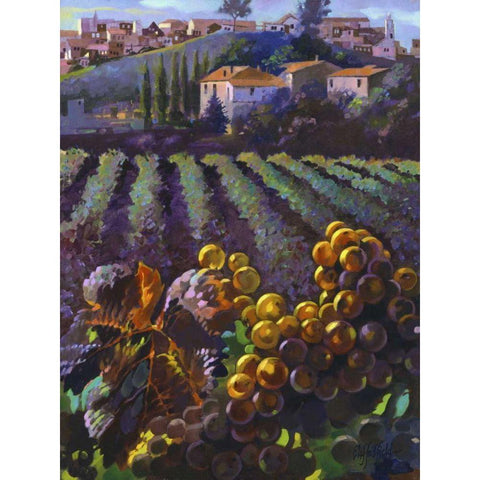 View of Tuscany Black Modern Wood Framed Art Print by Hadfield, Clif