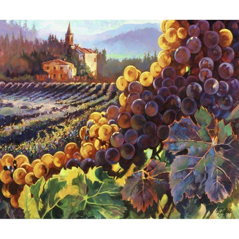 Tuscany Harvest Black Modern Wood Framed Art Print by Hadfield, Clif
