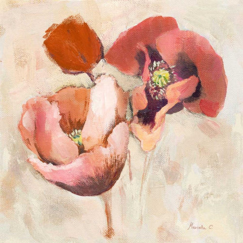 Painted Poppies White Modern Wood Framed Art Print with Double Matting by Cohen, Marietta