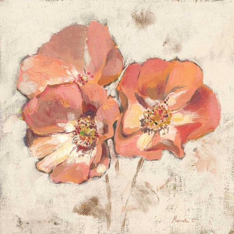 Painted Roses Black Modern Wood Framed Art Print with Double Matting by Cohen, Marietta