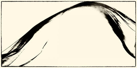 Silk Ink II White Modern Wood Framed Art Print with Double Matting by Ling, Tang