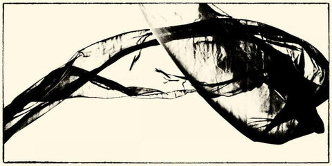 Silk Ink V White Modern Wood Framed Art Print with Double Matting by Ling, Tang